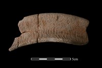 陶罐藏品圖，第1張